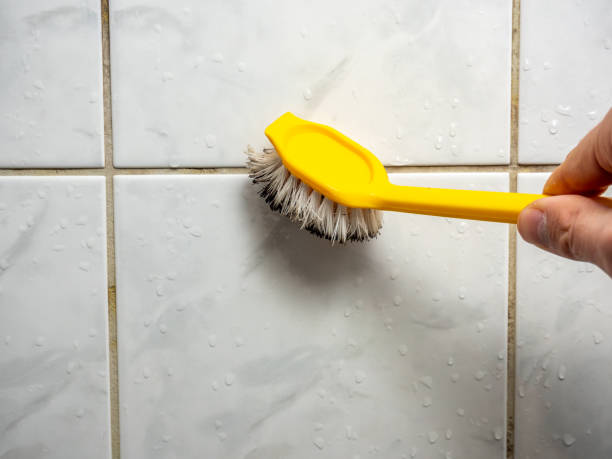 Best Attic Mold Removal  in Lancaster, KY